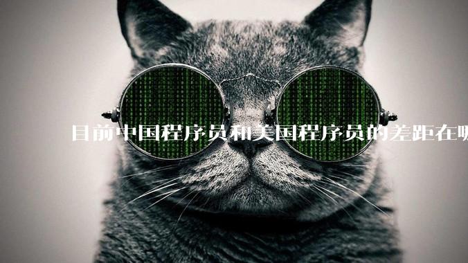 目前中国程序员和美国程序员的差距在哪里？