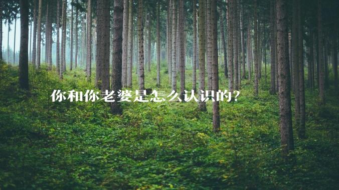 你和你老婆是怎么认识的？
