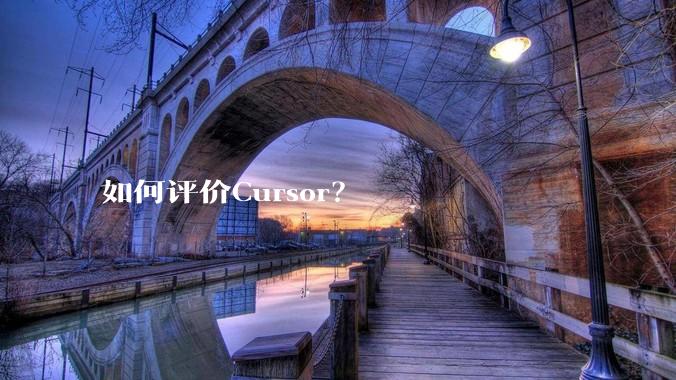 如何评价Cursor？